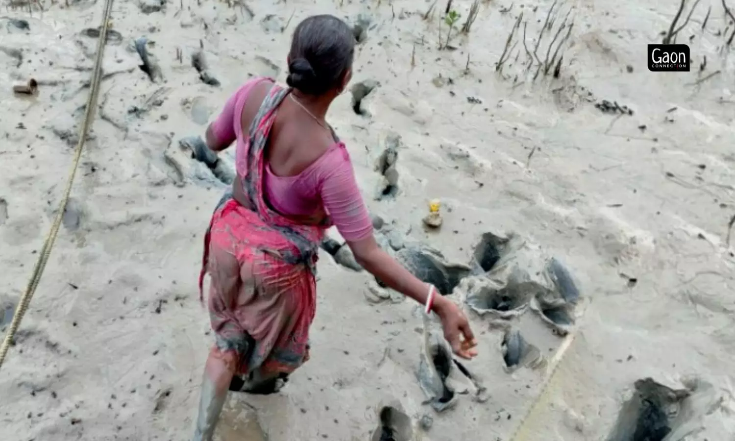 Since her marriage at the age of 13, Chandna has been spending several hours every day standing in the brackish water of Bidyadhari river near her village Sonagar in the Indian Sundarbans region.