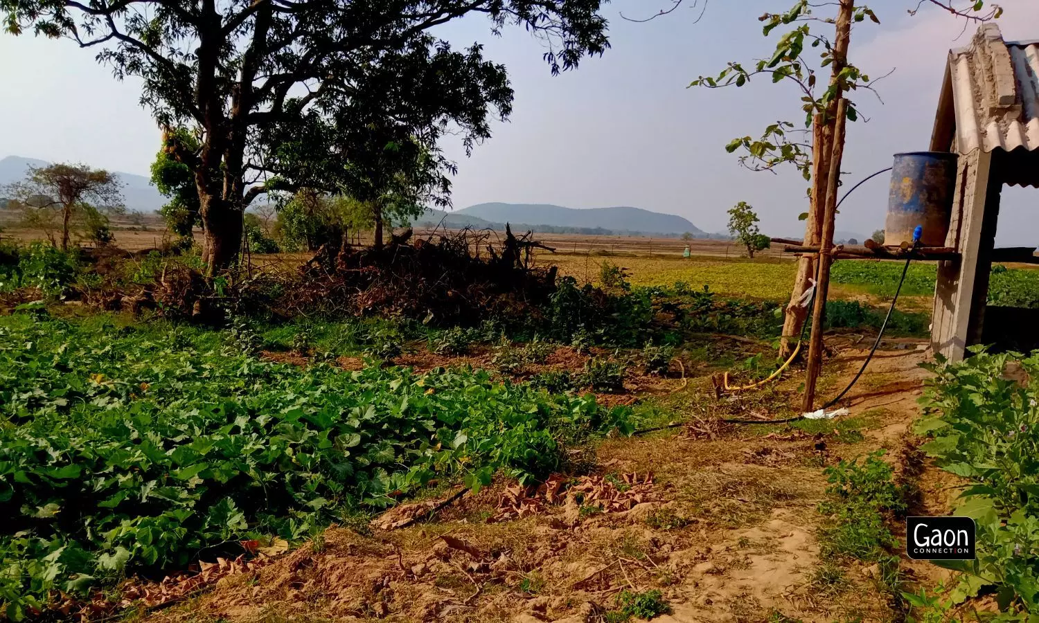 The micro-irrigation systems are provided to the farmers under the Pradhan Mantri Krishi Sinchayee Yojana which is a welfare scheme funded by the Central government. 