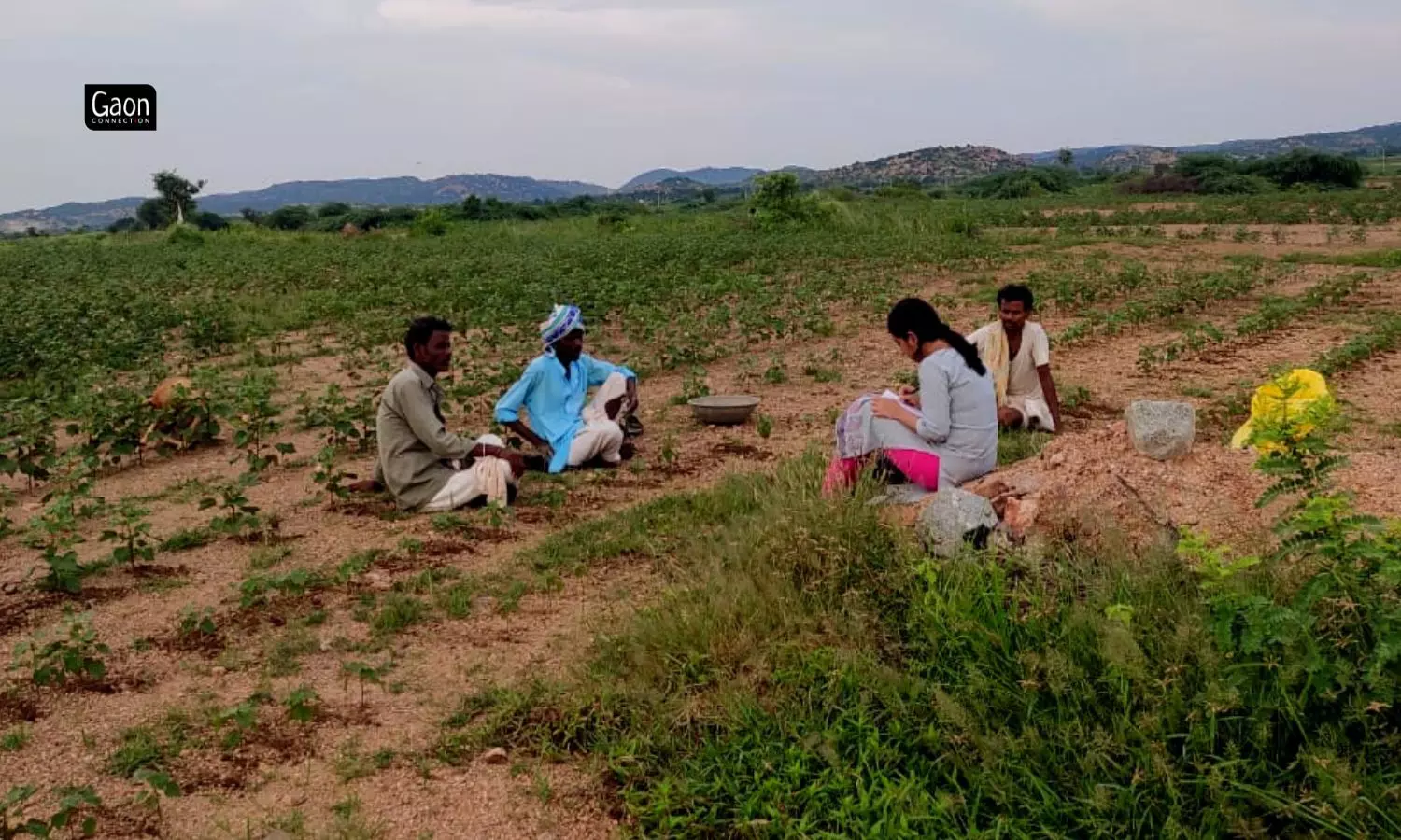 This traditional system of pot irrigation is pocket friendly and is also efficient because it requires less water than the drip irrigation system.