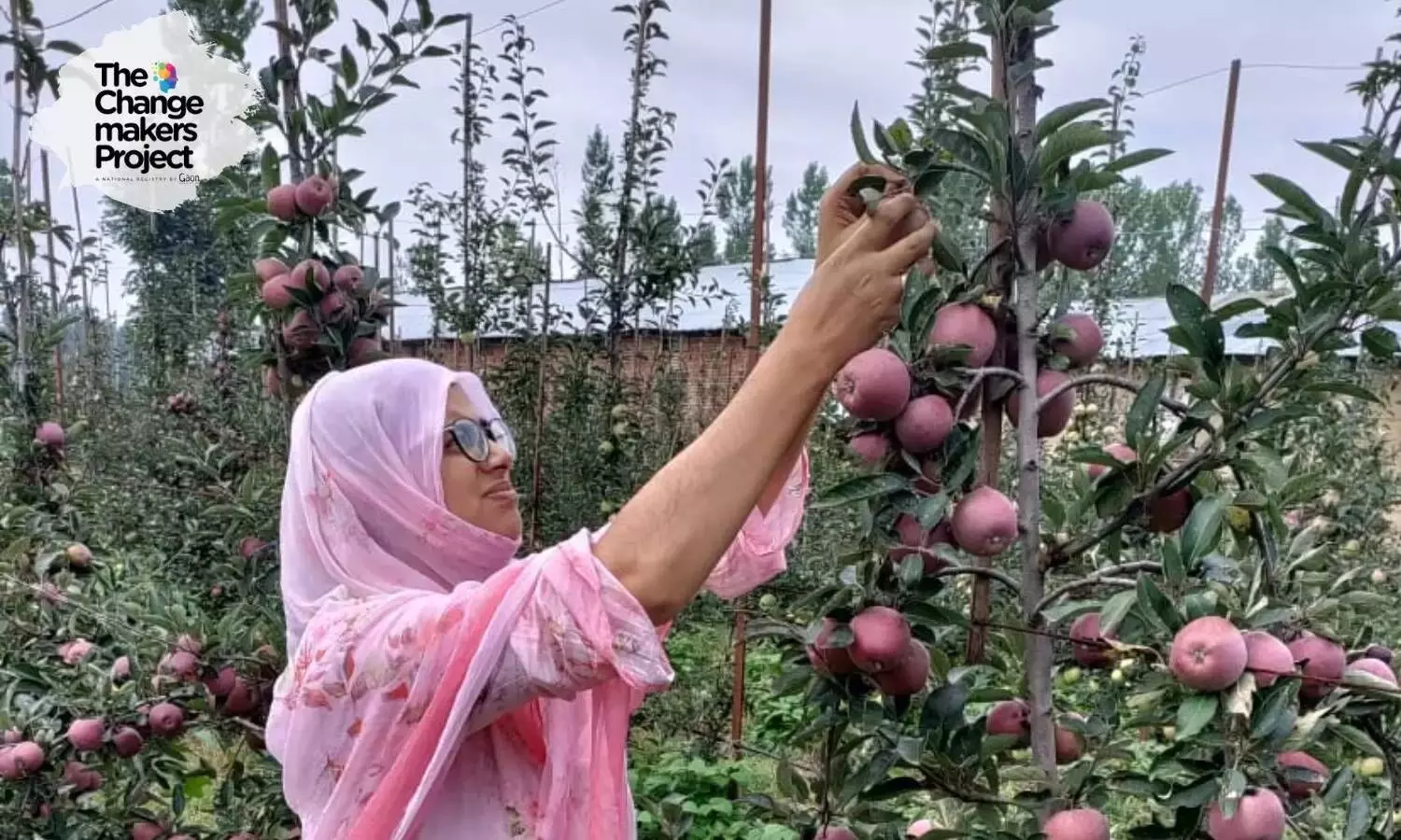 Today, Lateef, a lawyer by education and training, cultivates both conventional and exotic vegetables in her 4.37 acres farm (1 acre = 0.4 hectare) and also provides employment to 10 other local people.