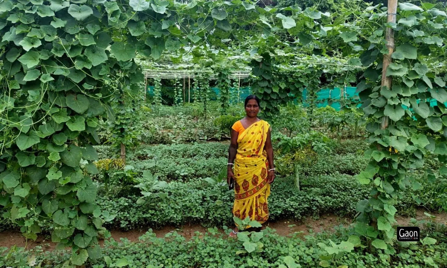 The workshops showed us how to optimise our farmlands. Earlier we only cultivated single crops, but now we grow multiple vegetables on it.