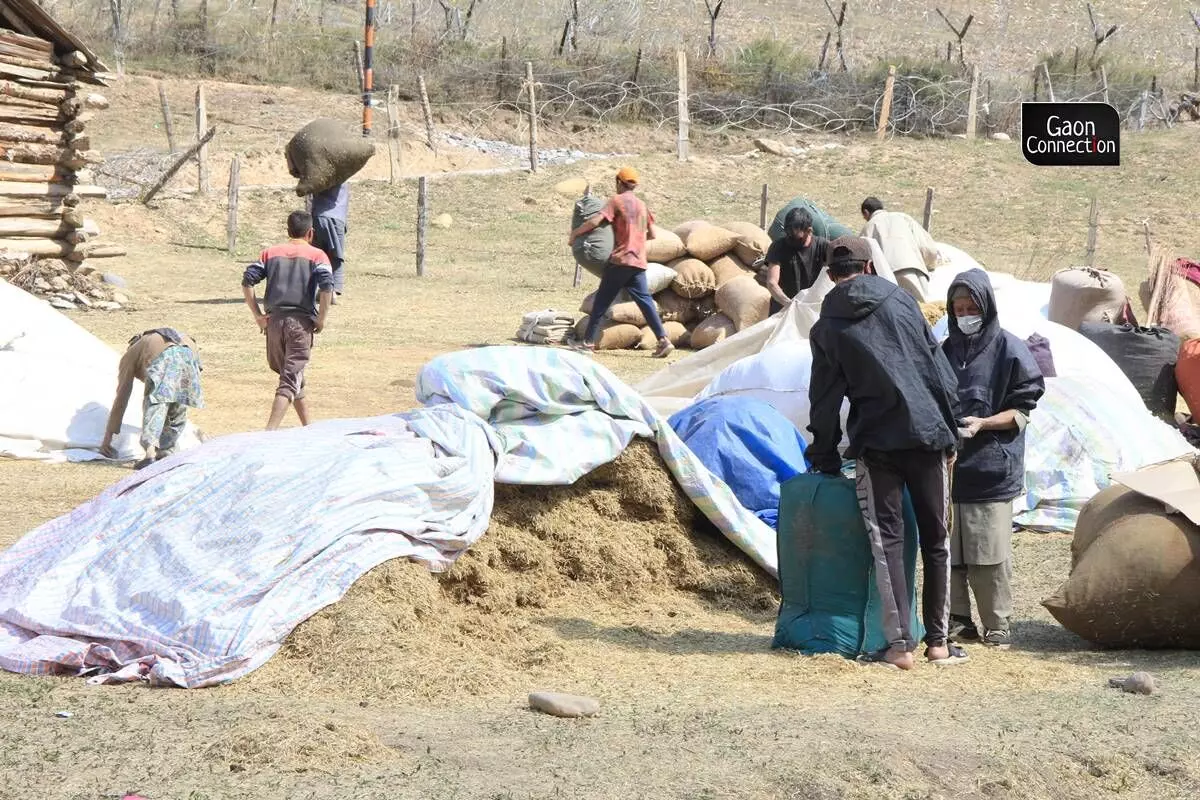 The produce grown here is scarce with the bulk of supplies coming from outside, making it even more imperative that what is grown here is made to stretch for as long as possible.