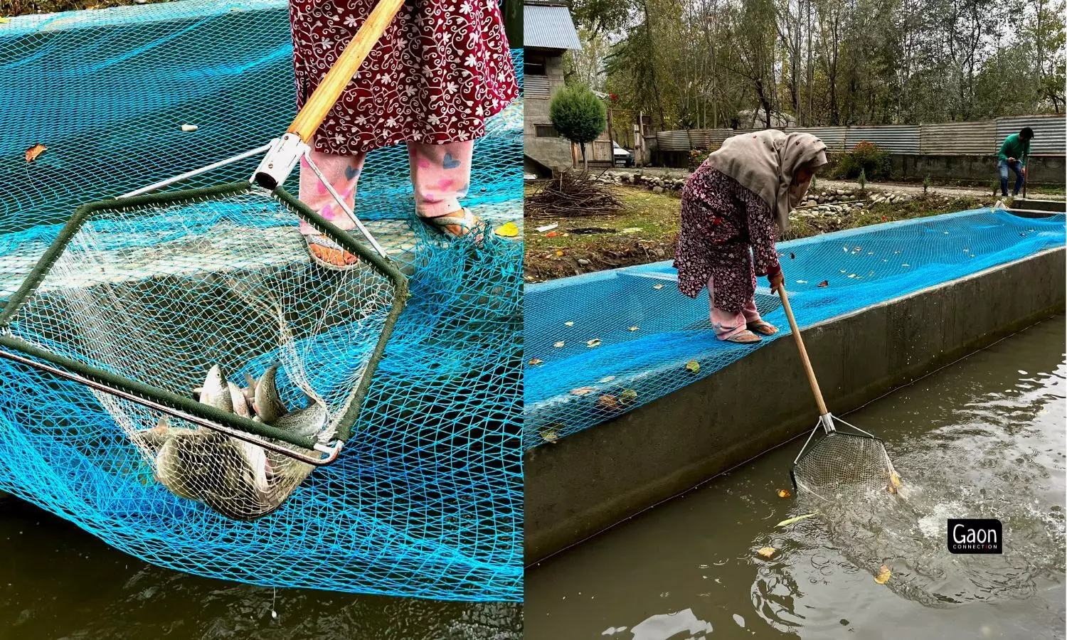 A trout fish farm allows women to work without leaving their homes, upsetting the family dynamics. A farm near the residence can generate a substantial income.