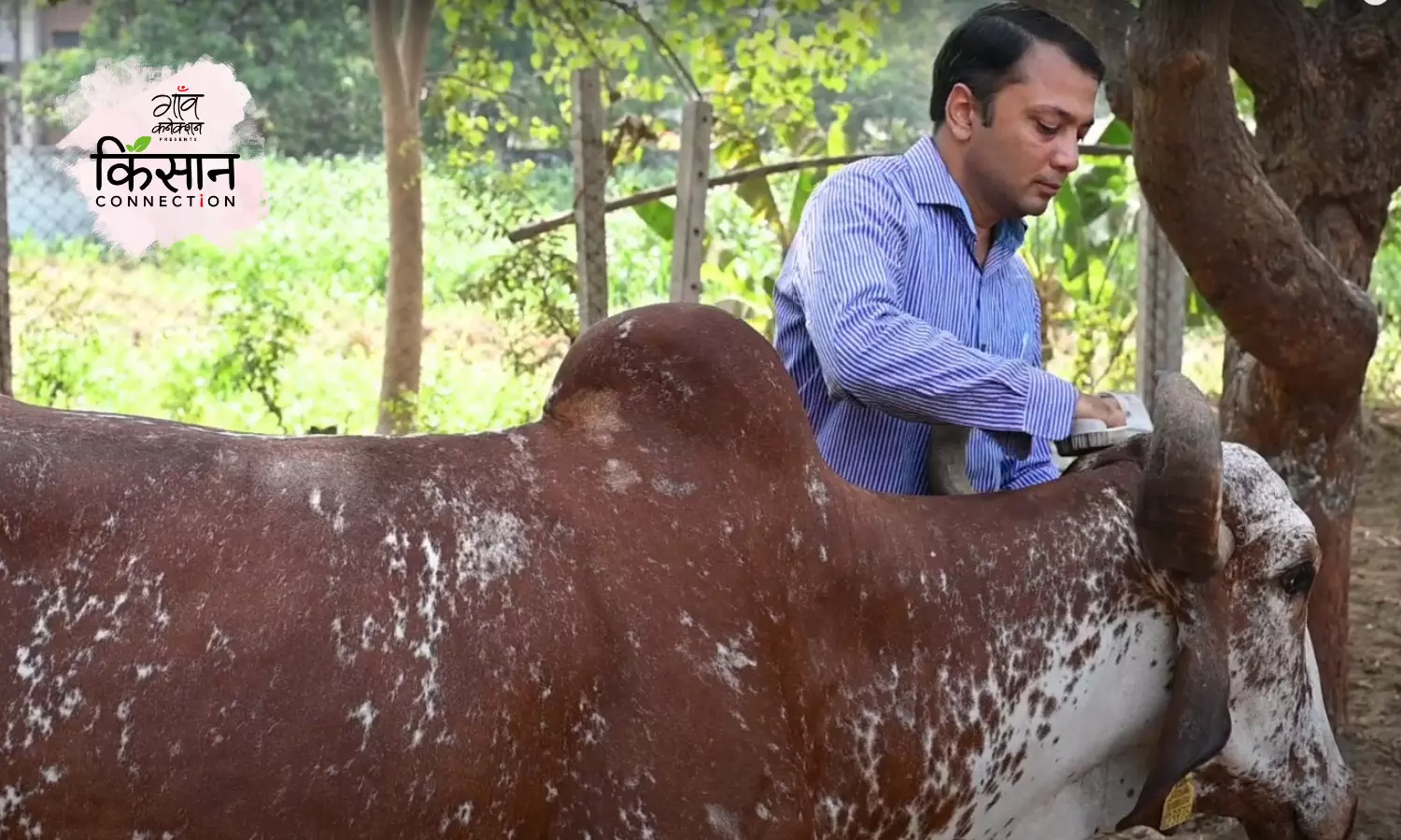 नीलेश मगनभाई अहीर को राष्ट्रीय दुग्ध दिवस पर राष्ट्रीय गोपाल रत्न पुरस्कार से भी सम्मानित किया गया है।