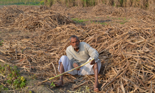 #Sugarcane Mills