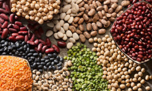 #pulses production