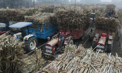 #Sugar production