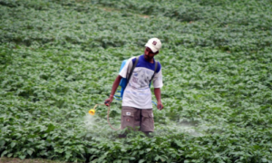 #sanctions against 18 pesticides