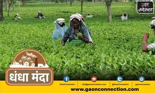 #tea industry