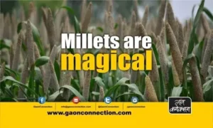 #millets