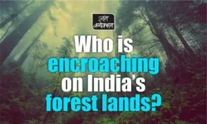 #Forests