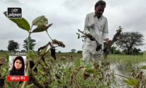 #Agriculture India