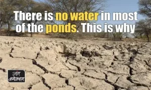 #Dry ponds