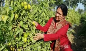 #women farmers