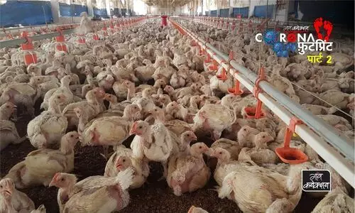 #Poultry farm