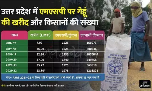 wheat procurement