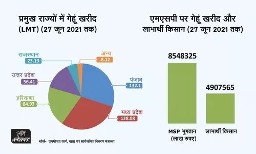 wheat procurement