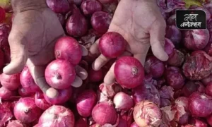 #onion price