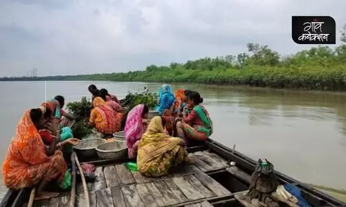 #Sundarbans