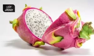 #dragon fruit