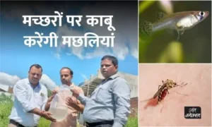 #dengue