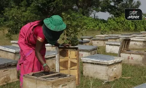 honey farmers