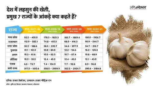 #garlic  price