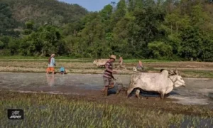 #Natural farming