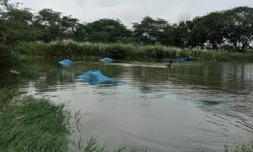 fish farmers