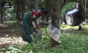 #Odisha farming