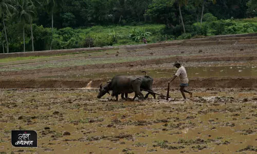 #Sri Lanka