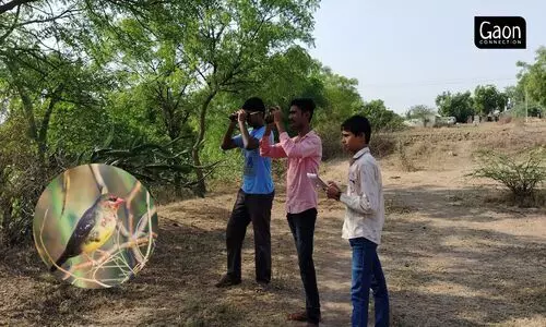 Maharashtra