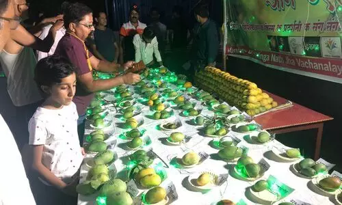 mango varieties