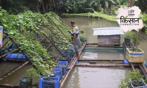 Bangladesh farmers