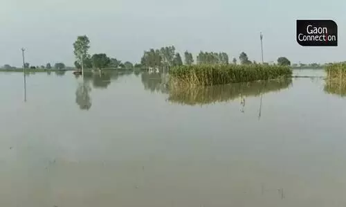 #Haryanaflood