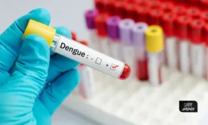 #dengue fever