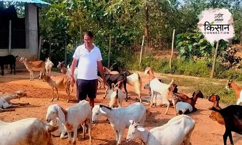 goat faming