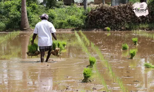 Kisaan Connection