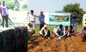 Indian farming