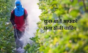 pesticides in agriculture