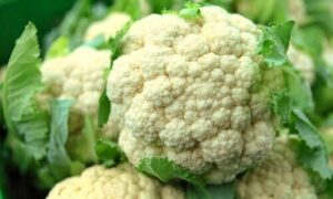 Cauliflower