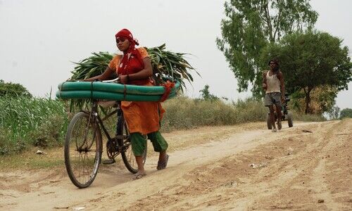 खेती किसानी