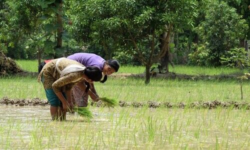 agriculture