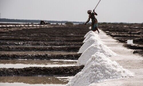 India’s salt intake