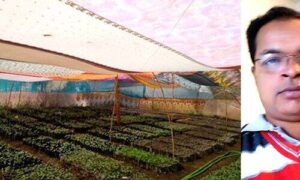 green house agriculture