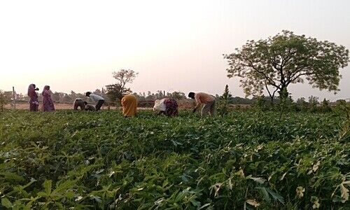 Allahabad-Lucknow highway