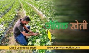 Organic farming