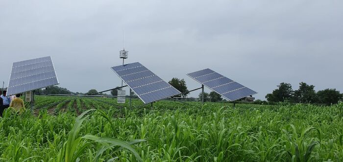 45 farmers in Jalgaon village in Buldhana district of Maharashtra have installed off-grid solar agricultural pumpets. Pic: Nidhi Jamwal