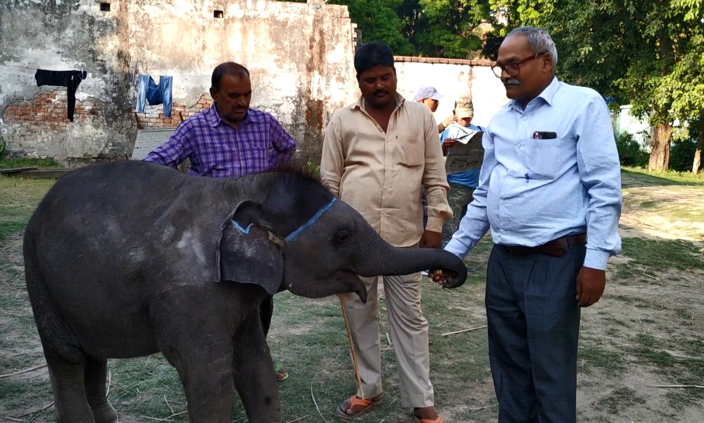 क्षेत्राधिकारी राम प्यारे और महावत इरशाद के साथ दुर्गा। दुर्गा इनके साथ खूब खेलती हैं और इनके हर निर्देशों को समझती है।