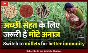 #Millets